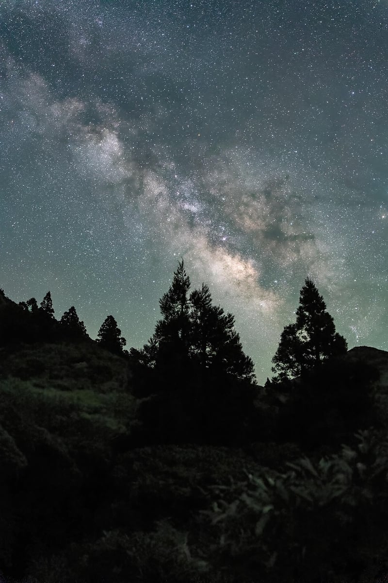 Celebrities at night
